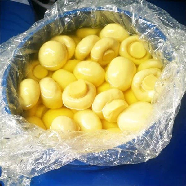 Cogumelo Champignon em SO2