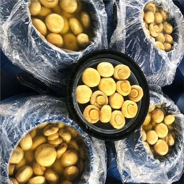 Como devo armazenar cogumelos abertos em salmoura?