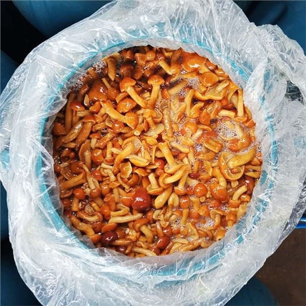 Shimeji Mushroom in Brine