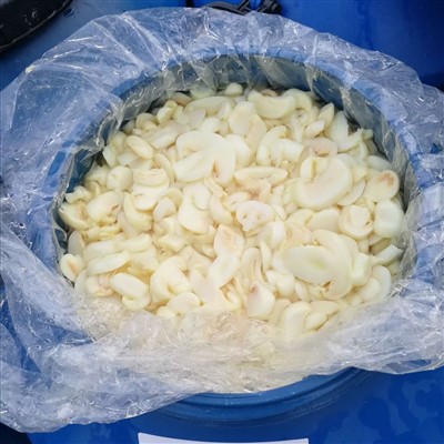 Cogumelos salgados embalados em tambor de alta qualidade
